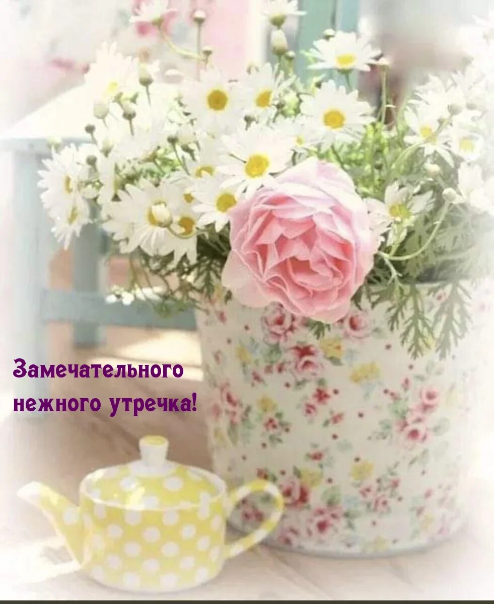 Фото хорошего дня и прекрасного настроения. Фото доброе утро хорошего дня и прекрасного настроения. Нежные картинки хорошего дня. Нежный цветок. Нежного утра ласкового дня.