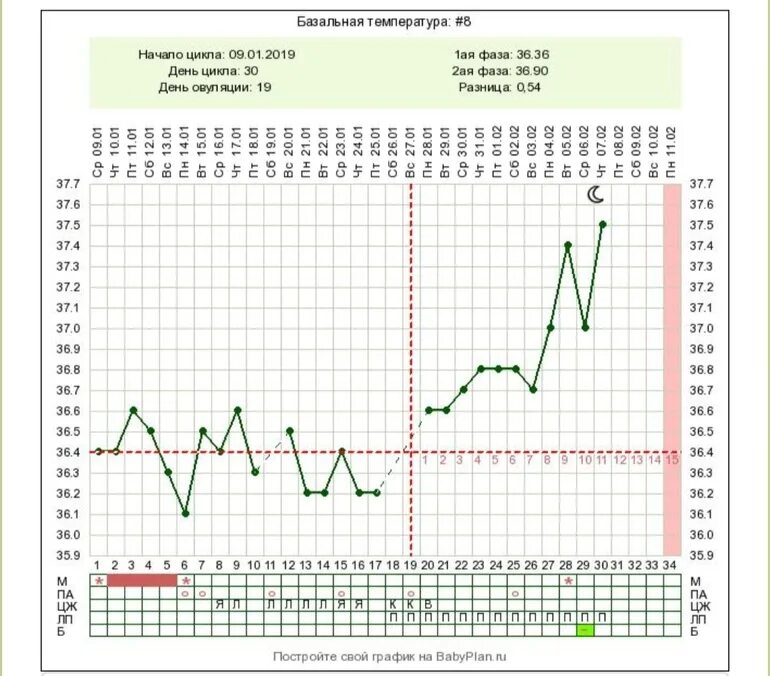 После беременности через сколько приходят месячные. Дюфастон и базальная температура. БТ при беременности на дюфастоне. Месячные при приеме дюфастона. Базальная температура и прием дюфастона,.
