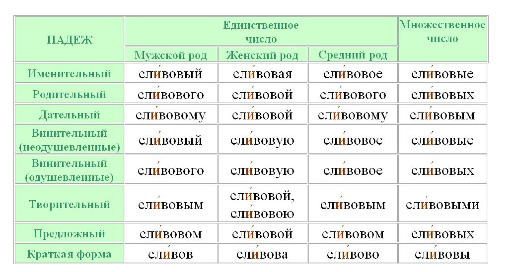 На какой слог ударение в слове сливовый