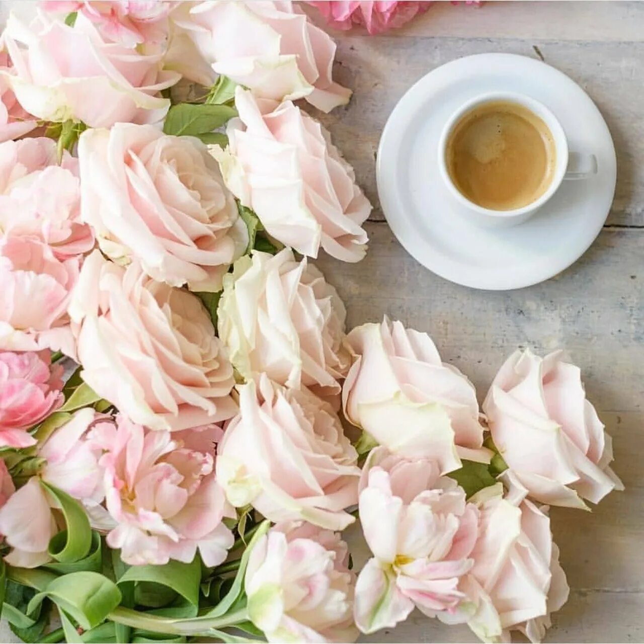 Цветы утром картинки. Утренние цветы. Кофе и цветы. Нежные цветы и завтрак. Нежные цветы утро.