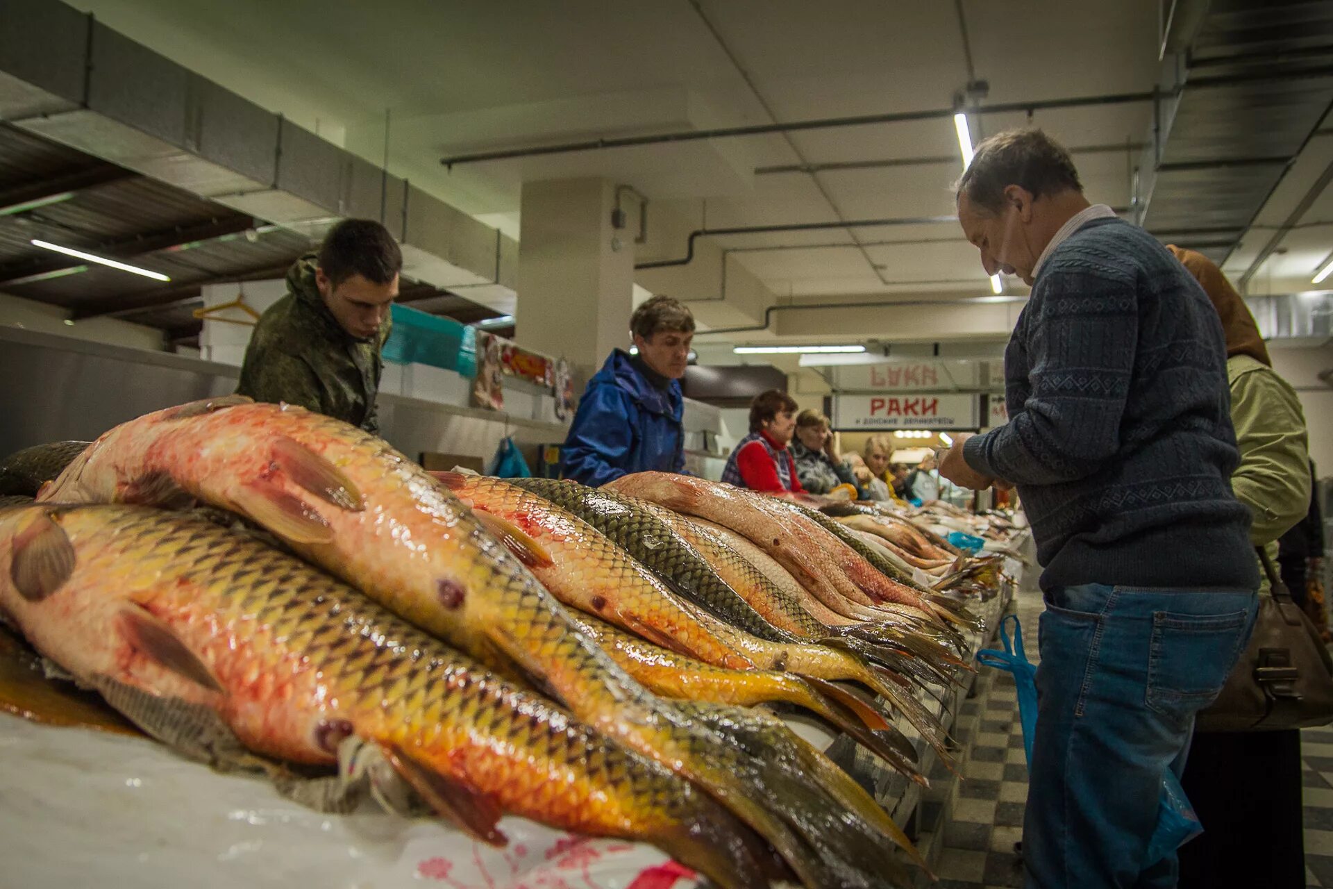 Рыба на рынке. Метро живая рыба. Ростовская рыба. Ярмарка рыбной продукции. Несанкционированная торговля рыбой.