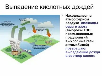 Источники образования кислотных дождей