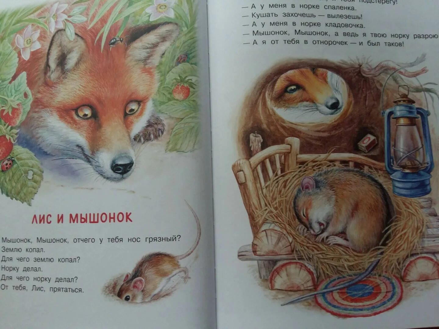 Бианки мышонок пик книга. Издательство аст мышонок пик. Бианки в. Сказка бианки о мышке. Бианки в.
