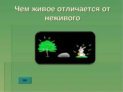 Что не живое мы едим