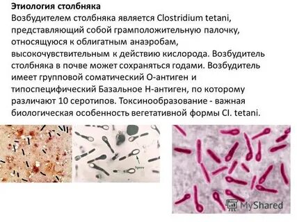Столбняк инфекции