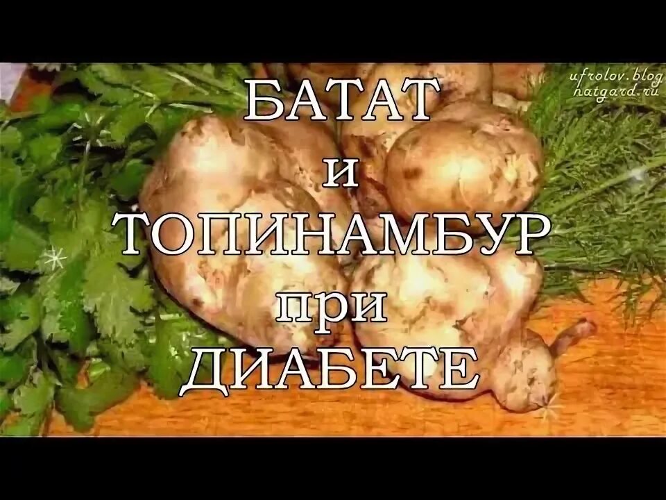 Батат при диабете можно или нет. Батат при диабете можно или нет
