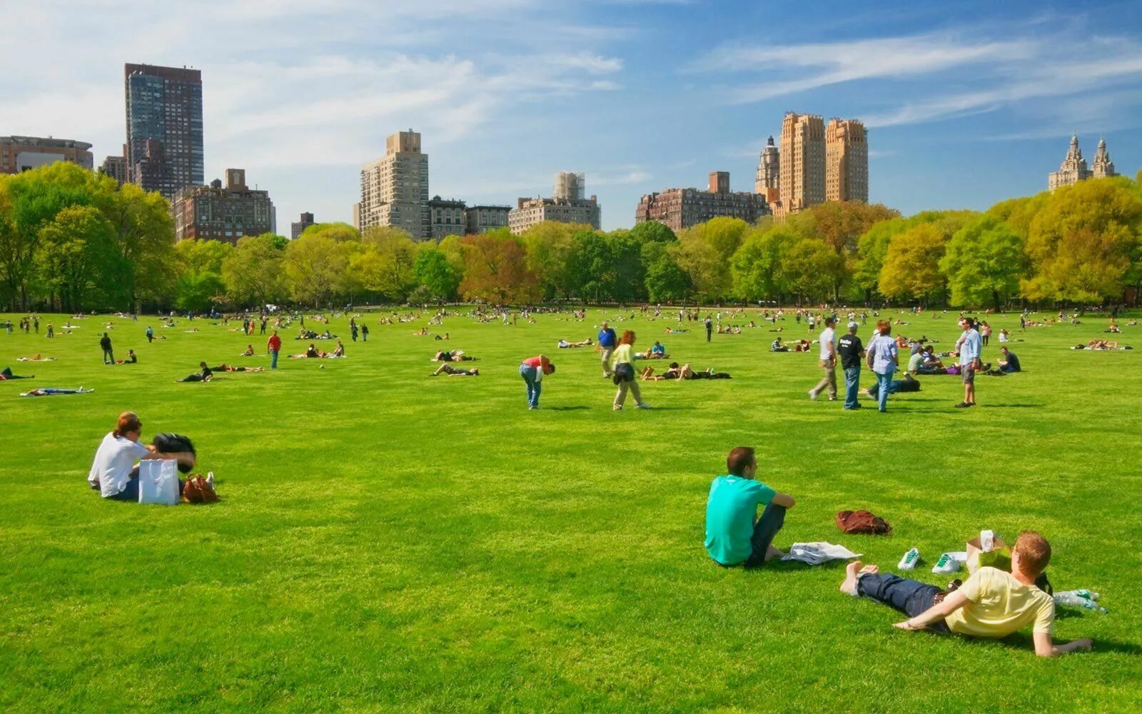 Lot of people in the park. Центр парк Нью-Йорк. Централ парк люди. США парк люди.