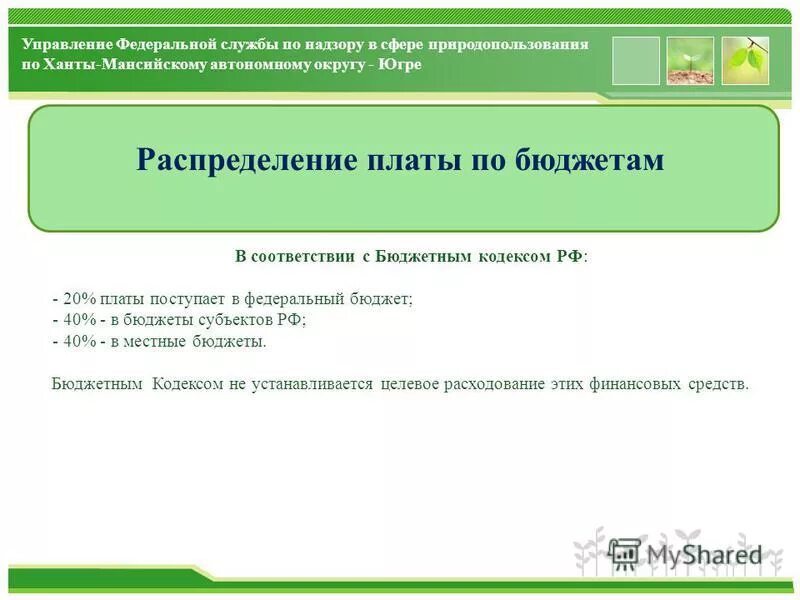 бюджет плату за негативное воздействие