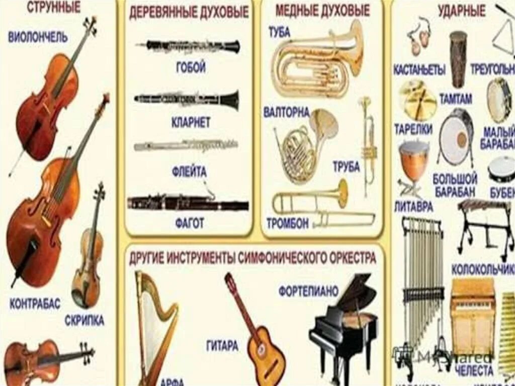 Какой инструмент на картинке. Медные духовые и ударные инструменты симфонического оркестра. 4 Медно духовых инструментов в симфоническом оркестре. Духовые Оркестровые инструменты названия. Струнные смычковые деревянные духовые медные духовые ударные.