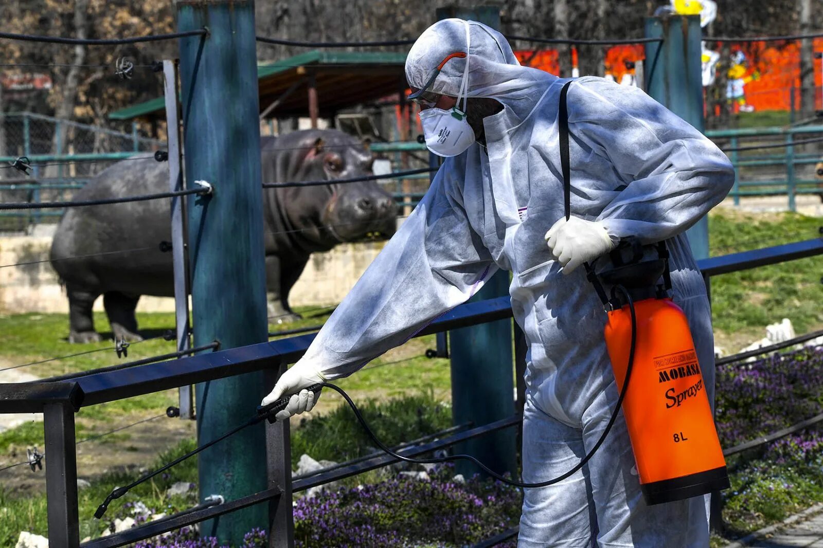 Само со. Труднее всего бороться с самим собой. Колбасный кот. Пока я брился в ванной. Само со.