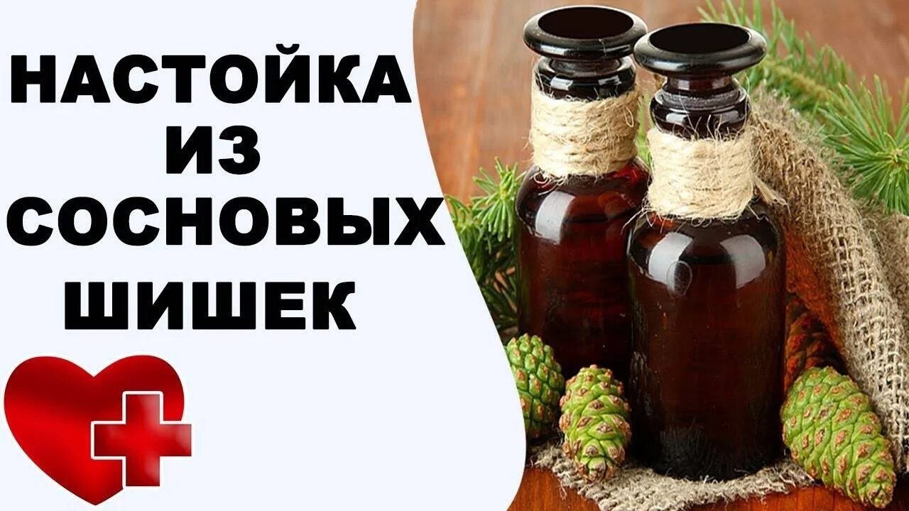 Настой сосновых шишек. Экстракт из сосновых шишек. Шишки сосны настойка применение. Настой из сосновых шишек после инсульта. Настой шишек сосны.