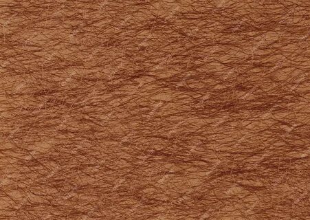 Brown picture