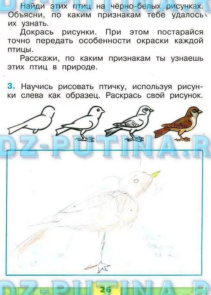 Окружающий мир 1 класс страница 38 39. Окружающий мир 1 класс рабочая тетрадь Плешаков стр 26. Гдз окружающий мир 1 класс рабочая тетрадь 1 часть. Окружающий мир 1 класс рабочая тетрадь Плешаков 1 часть ответы стр 25-26. Окружающий мир 1 класс рабочая тетрадь стр 26.