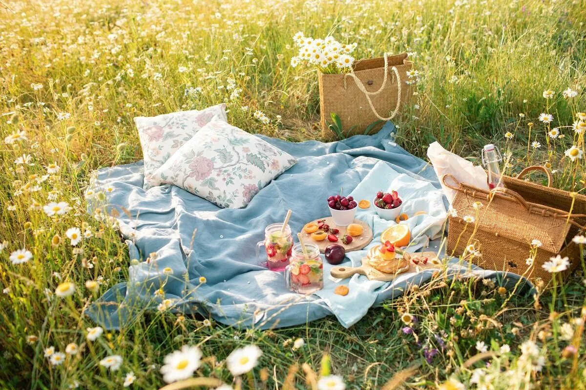 Picnic time. Июнь пикник раскладка. Корзина для пикника в интерьере участка. Picnic time. Picnic time.