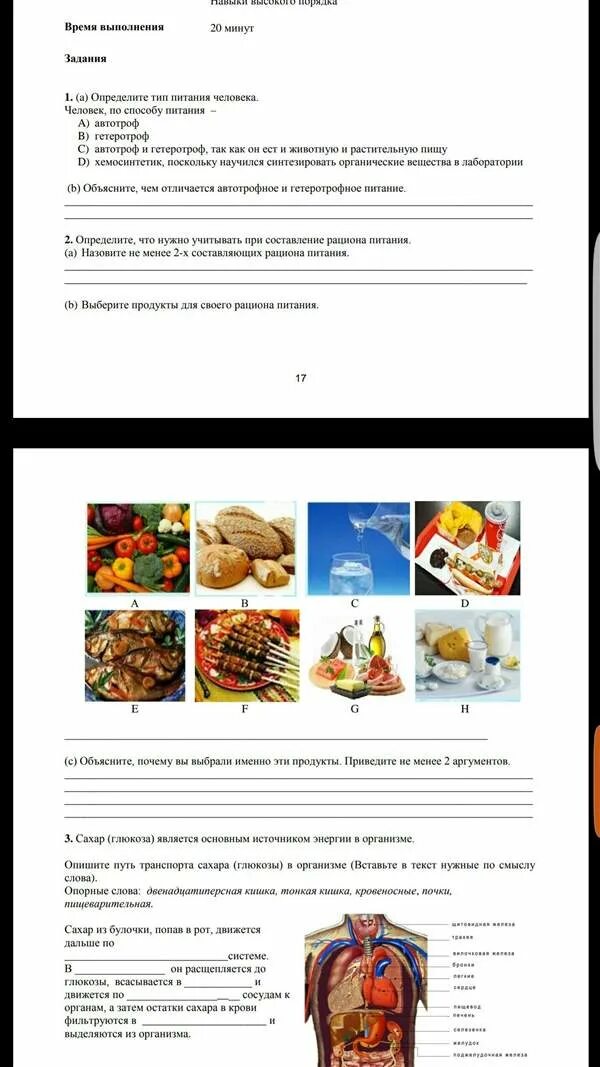 Сор естествознание 3 четверть. Соч естествознание 3 четверть 3 класс. сор 2 класс естествознание. сор 3 класс 3 четверть. соч по естествознанию 4 класс 3 четверть с ответами.