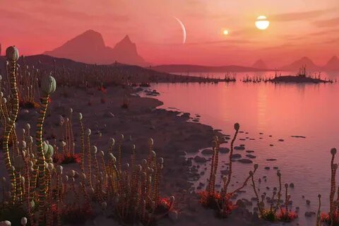 Life planet