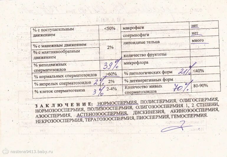 Сдать спермограмму в новосибирске. Сдать спермограмму в новосибирске