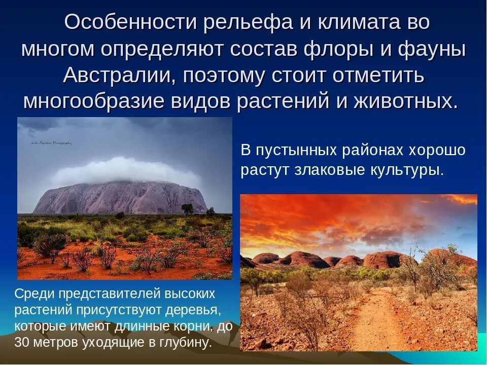 Конспект по географии особенности природы. Особенности природы Австралии. Своеобразие природы Австралии. Рельеф и климат Австралии. Природа Австралии презентация по географии.