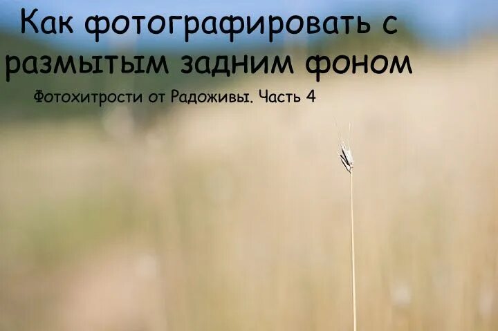 Как сделать чтобы задний фон был размытым. Как фоткать с размытым фоном. как снять красивое видео с задним размытым фоном. как сфотографировать передний план размытый. на самсунге 71 а как фотографировать чтобы задний план размыт был.