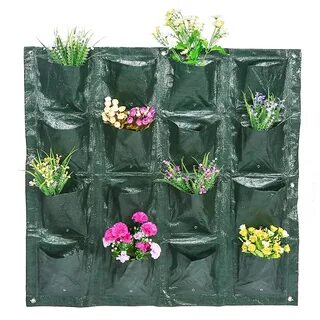 Bag plant