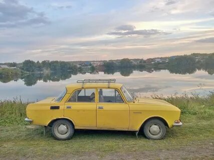 Москвичи летом