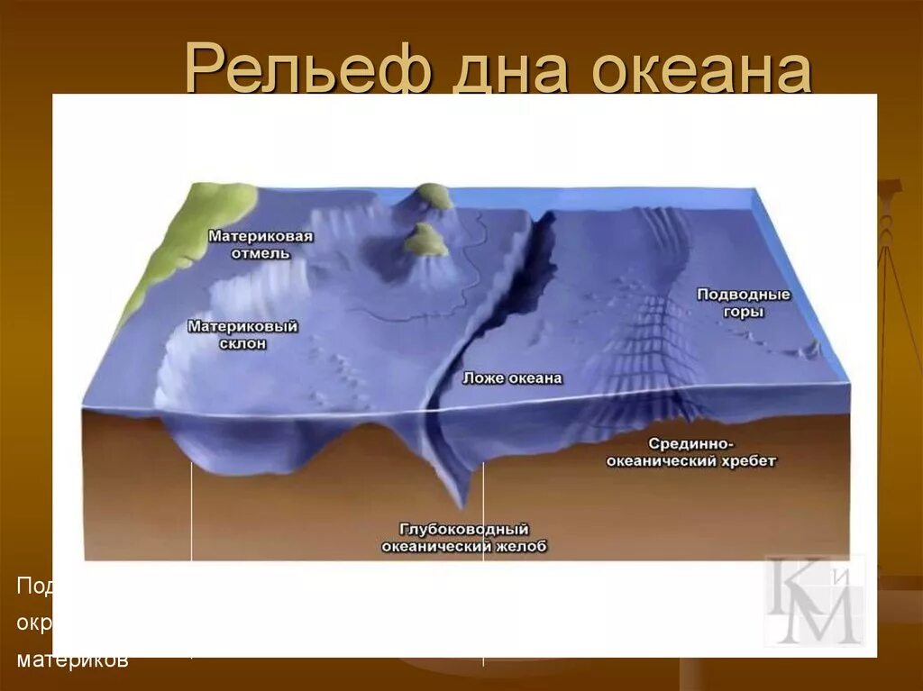 Рельефы суши и дна океана. Рельеф дна мирового океана. Формы рельефа океанического дна. Строение дна мирового океана. Строение рельефа дна мирового океана.