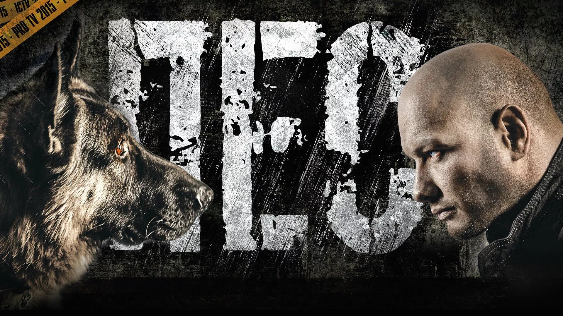 Сериал пёс 6 1 серия. Максим максимов пес 1 сезон. Пёс2 2 сезон. Сериал пес первый сезон. Сериал пёс макс.