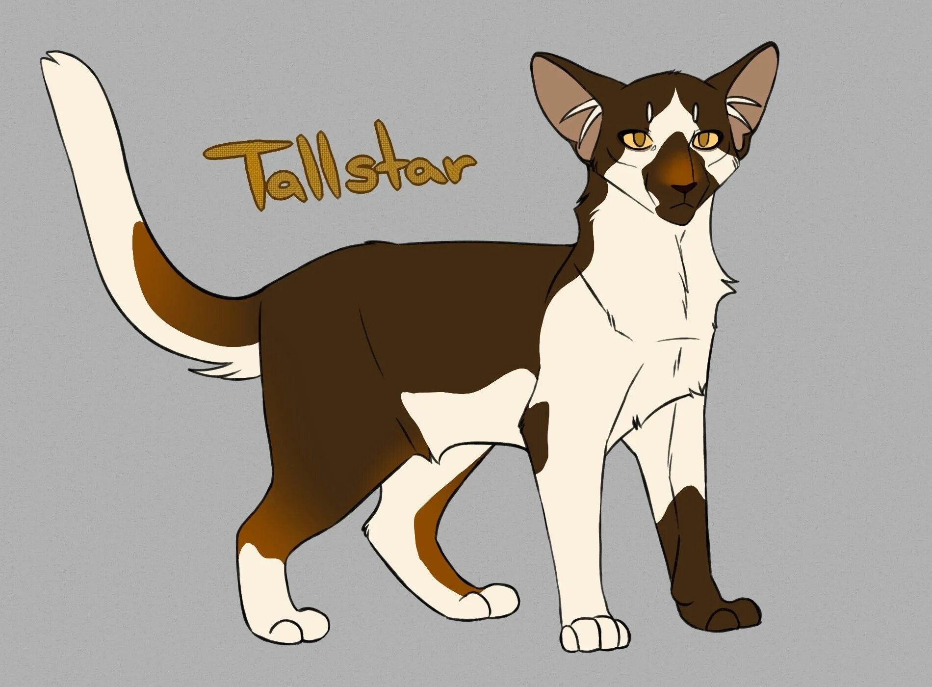 Cats fandom. Tallstar. кот tallstar. tallstar warrior cats arts. кошка фандом.