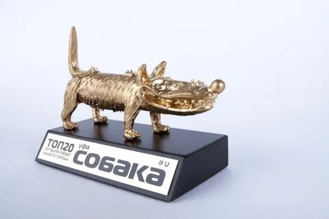 Собака премии