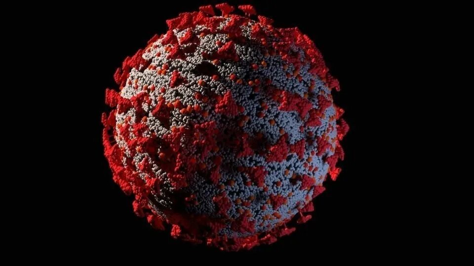 Coronavirus 3d. Коронавирус 3д модель. 3d модель вируса. Вирус STL.