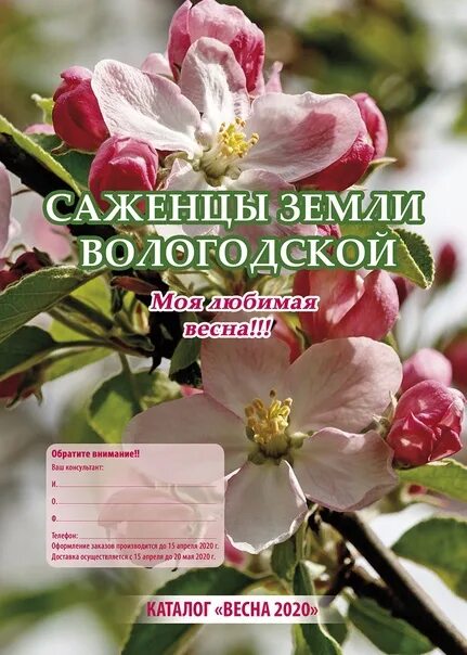 Майский вологда каталог. Каталог саженцев. Питомник растений в районе Переславля Залесского.