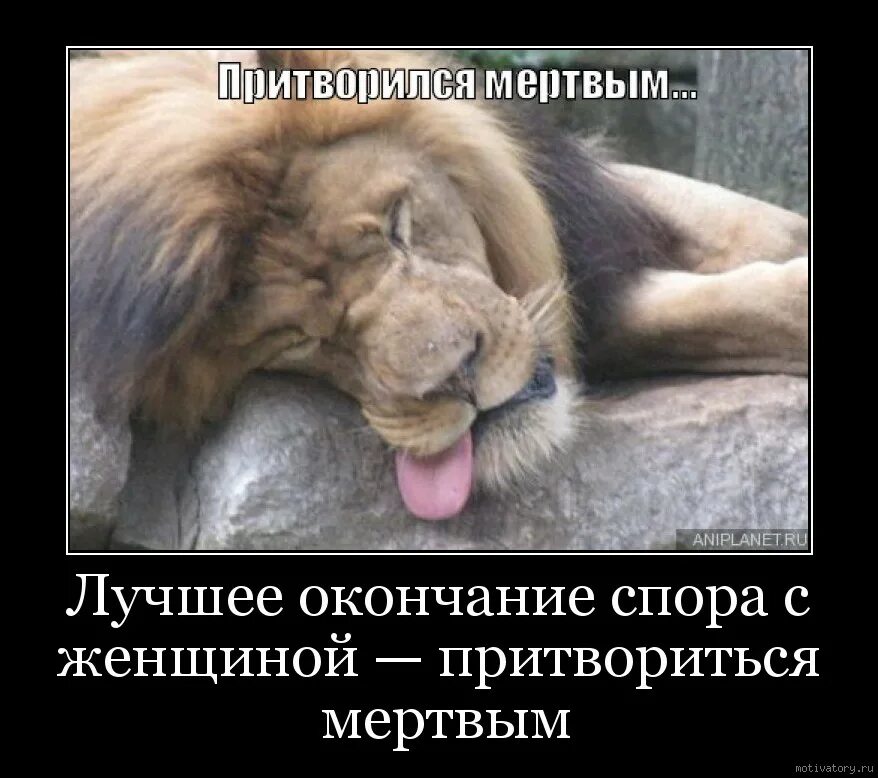 Это я притворяюсь что мне нравятся люди. Не или ни. Отзыв схема написания. Стихи про настю смешные. Притвориться как пишется.