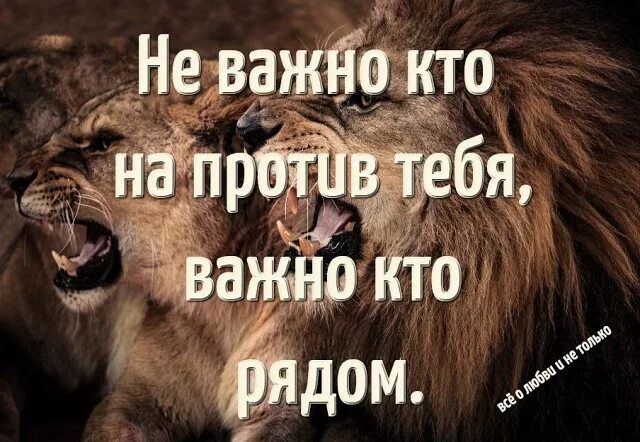 Важно не то сколько было. Не важно кто напротив важно кто рядом. не важно кто важно кто. не важно кто напротив важно кто. неважно кто напротив важно кто рядом.