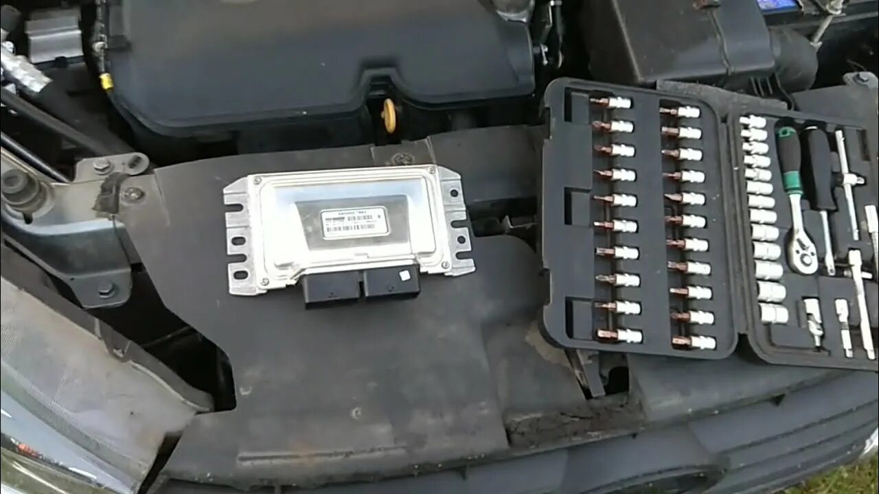 Чип весты 1.8