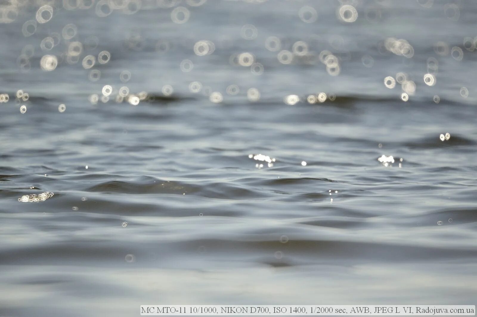 боке :: Объектив: МТО-500 500 mm f/ 8.0 - тестовая фотография :: Lens-Club.ru