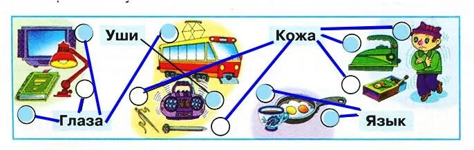 Гигиена органов чувств. Условные знаки органов чувств к правилам. Условные знаки гигиены органов чувств. Правила гигиены органов чувств. Условные знаки органов чувств.