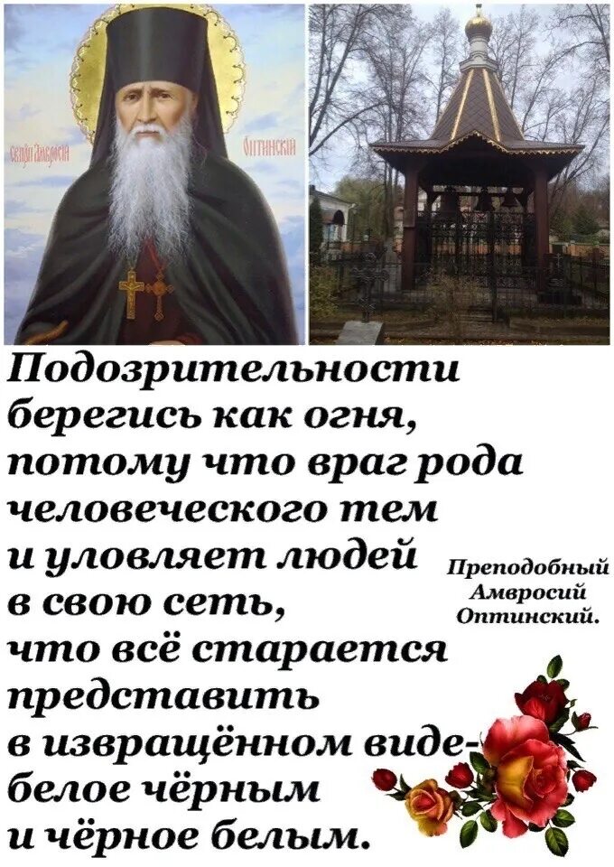 Врагов род