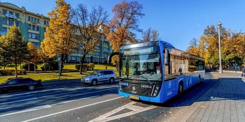 Новые 38