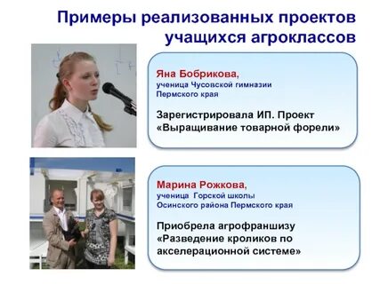 Социальные проекты учащихся темы