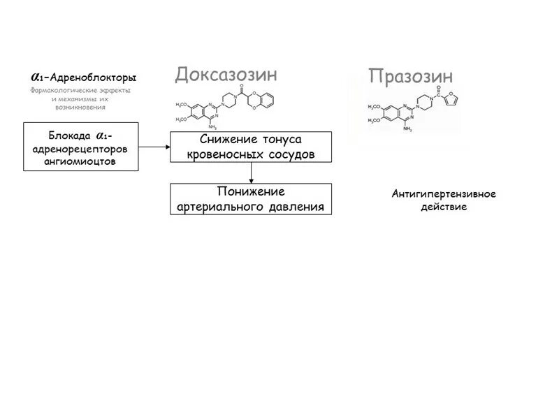 Доксазозин относится к группе. Доксазозин механизм действия фармакология. Доксазозин фармакологические эффекты. Празозин доксазозин. Доксазозин группа препарата фармакологическая.