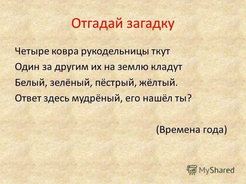 Загадка 4 пачки