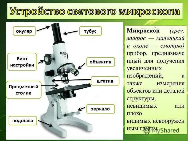 Что общего у микровинта и макровинта
