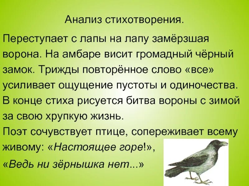 Стих ворона. Стих Рубцова ворона. Стихотворение ворона рубцов. Анализ стихотворения саши