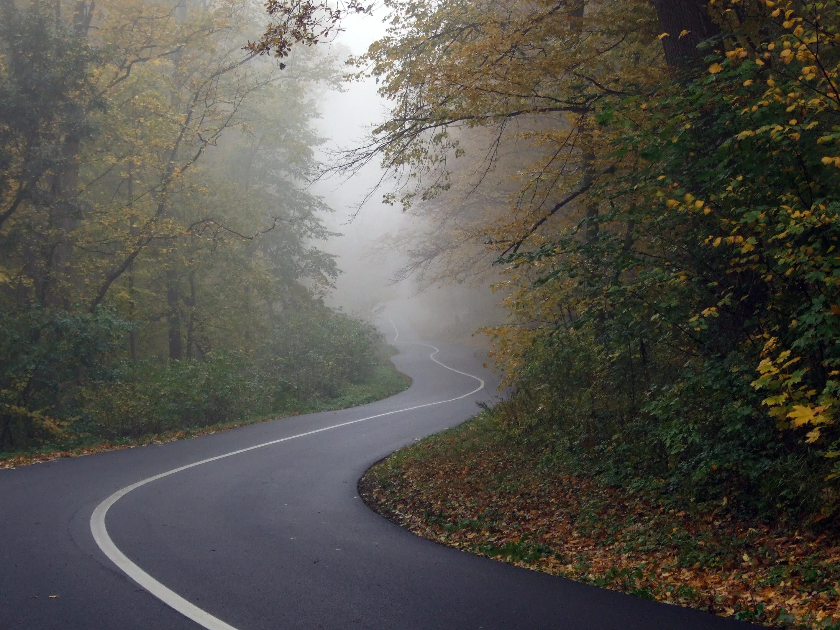 Turning road