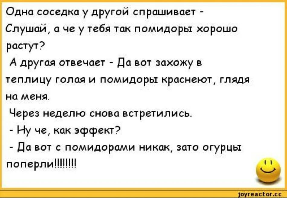 Анекдот про сколько. Анекдот про огурцы и помидоры. Анекдот про помидоры. Анекдот про огурцы. Анекдот про краснеющие помидоры.