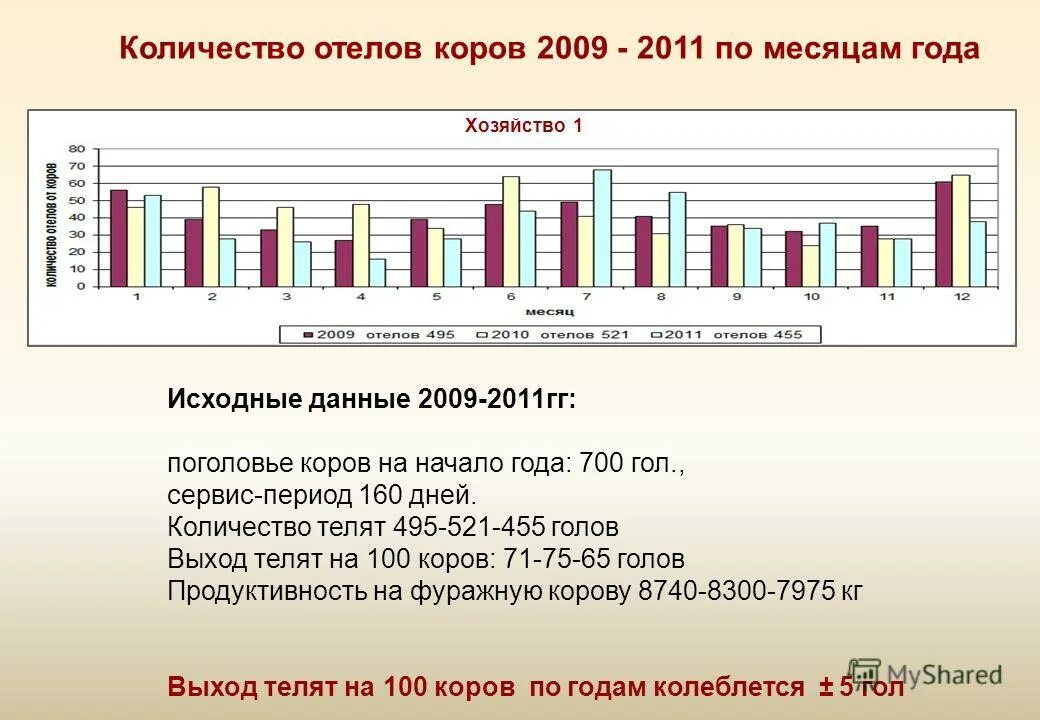 выход телят на 100