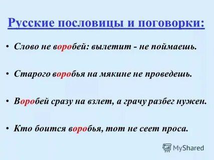 Пословица со словом лето