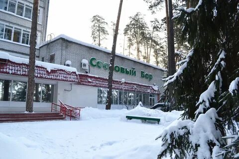 Сосновый бор димитровград