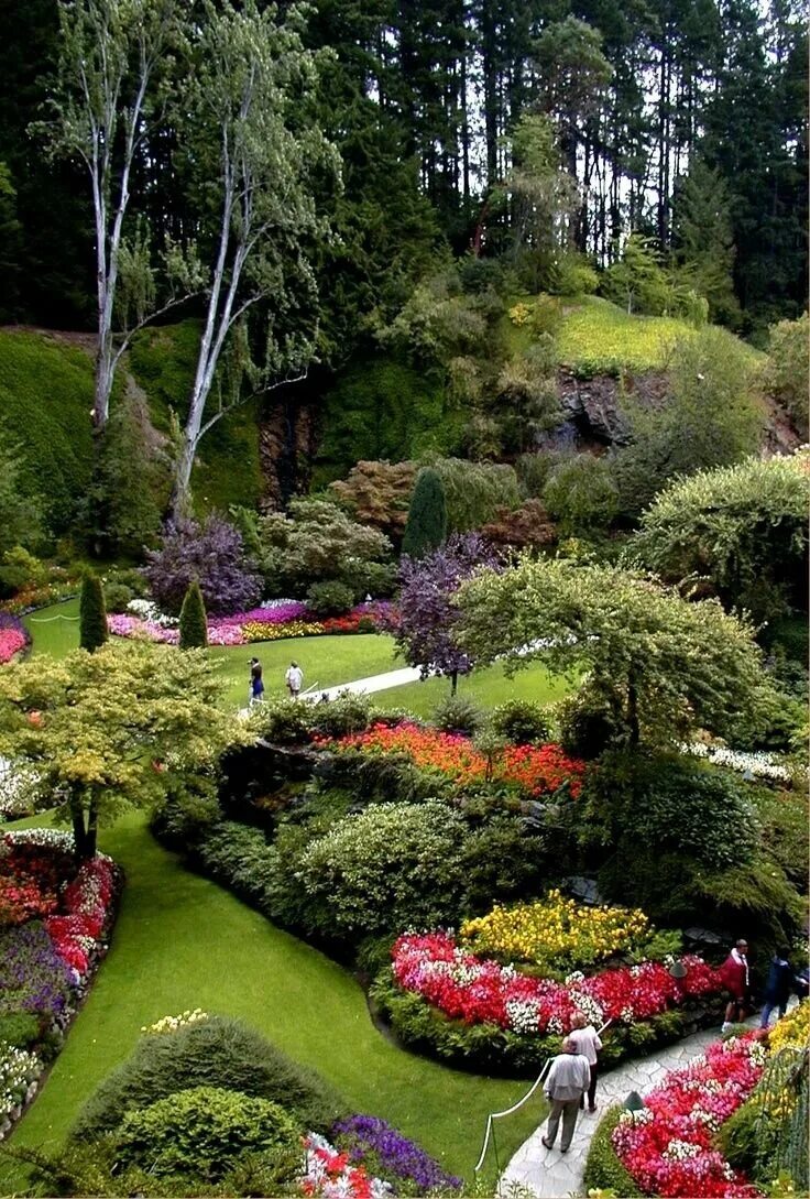 Английский пейзажный парк англия. "сады бутчартов (the butchart gardens) ванкувер, канада. Сад в английском пейзажном стиле. Butchart gardens канада. Боскет французский партер.