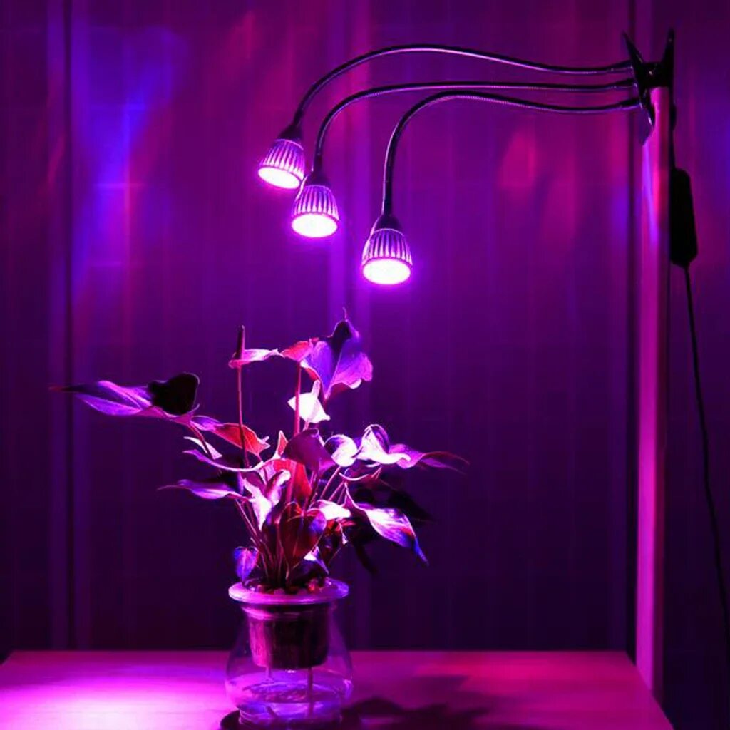 Розовый свет фитолампа. Фитолампа led grow Light. Фитолампа f4054. Фитосветильник 35 Вт полный спектр. Фитолампа 15вт led Blub.